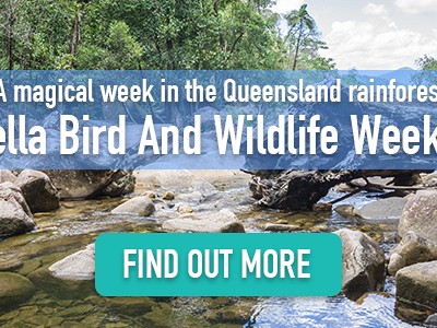 Eungella Bird and Wildlife Week